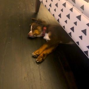 Half way through the week ! Give yourself a pick up, by taking yourself shopping